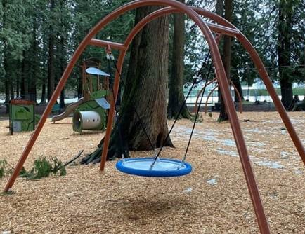 Photo of basket swing at Harris Road Park