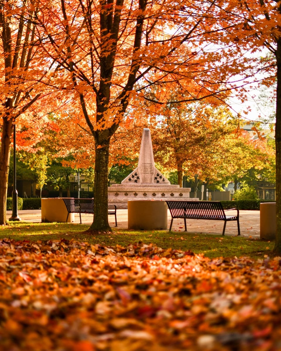 remembrance-day-city-of-pitt-meadows