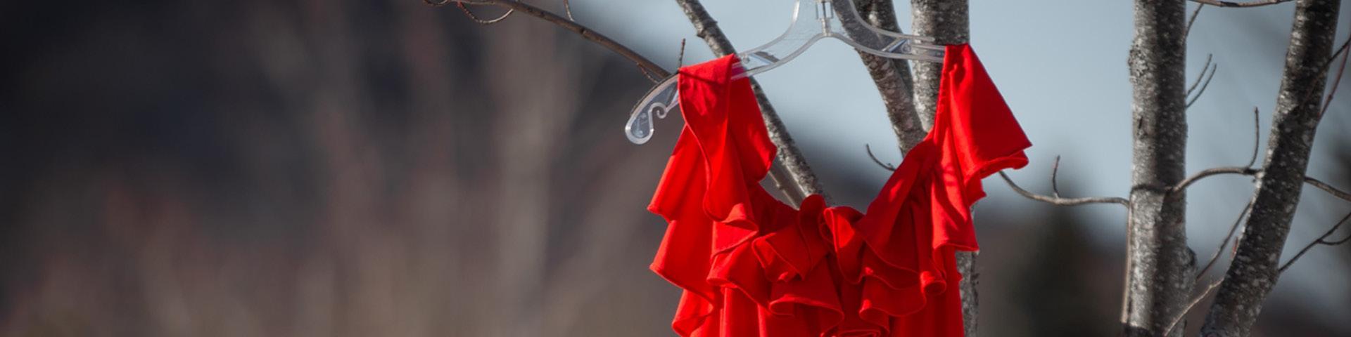 Red Dress hanging from a tree