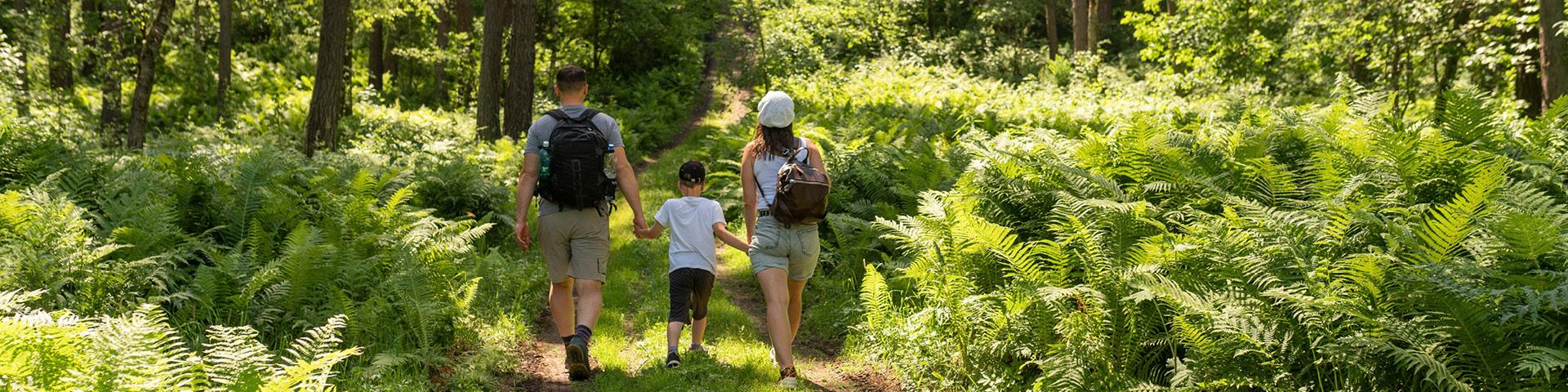 people walking through a trail