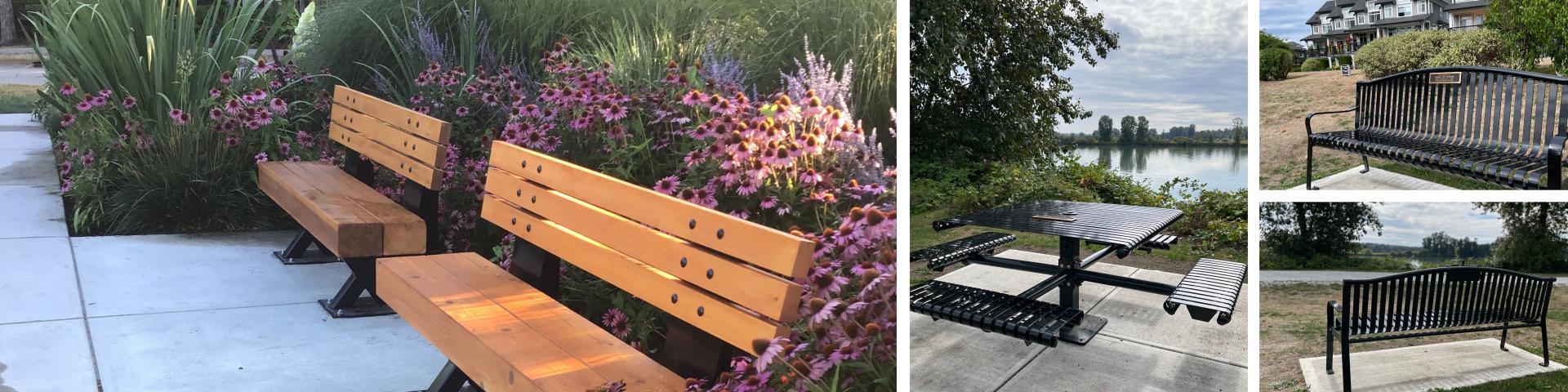 collage of photos of park amenities