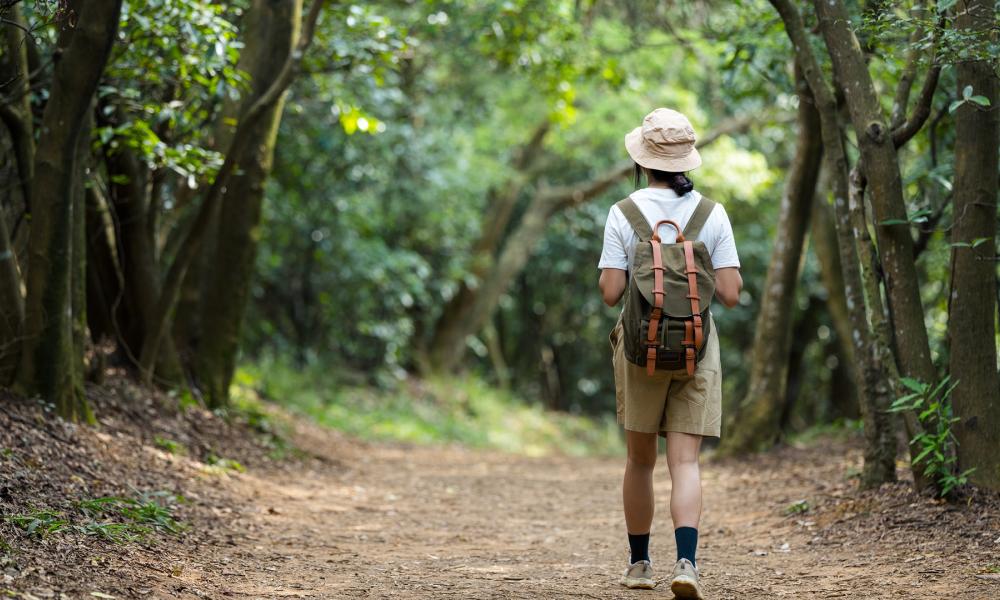 a person walking on a local trail