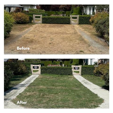 Before and after photos of the trail improvement project