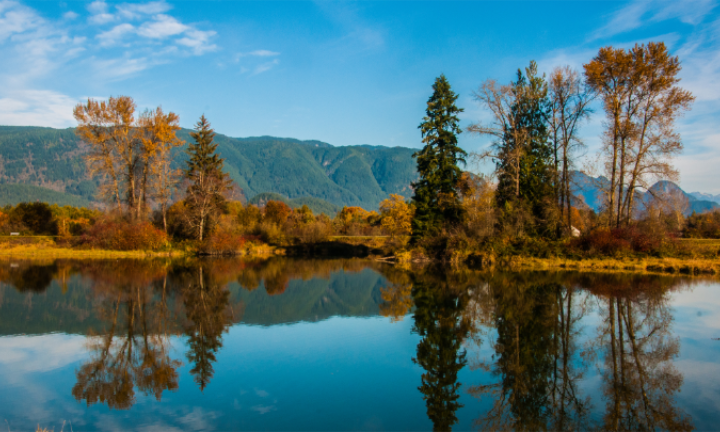 scenic water in pitt meadows